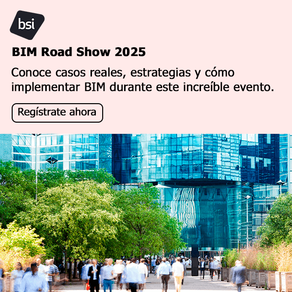 BSI Group