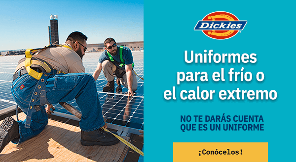 Dickies