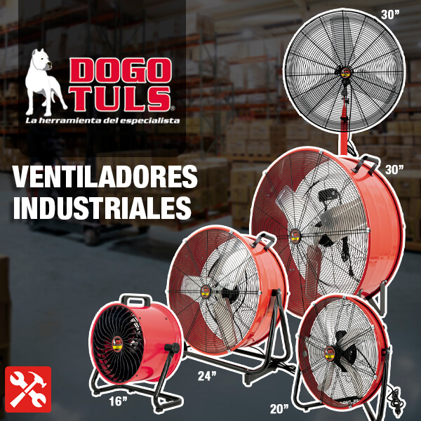 Dogotuls
