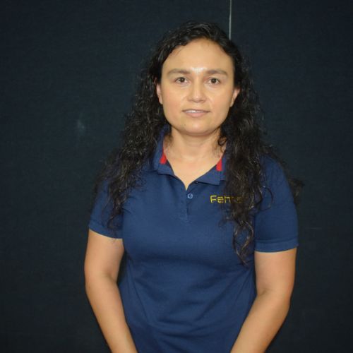 Gerente de compras de Fehrer Automotive México.