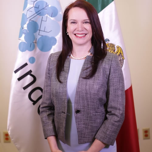 Cecilia Carrillo, directora general de Index Nuevo León.