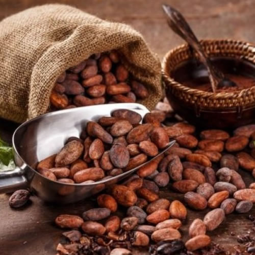 Nestlé desea aumentar del 20 al 40 por ciento el consumo de cacao en los próximos cinco años.