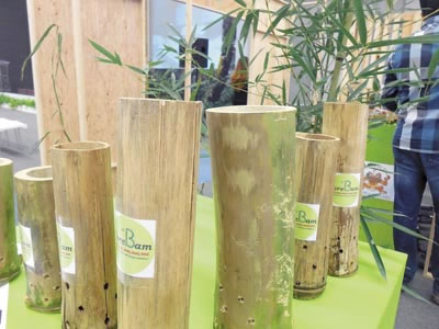 ›› Contenedor hecho a base de bambú.