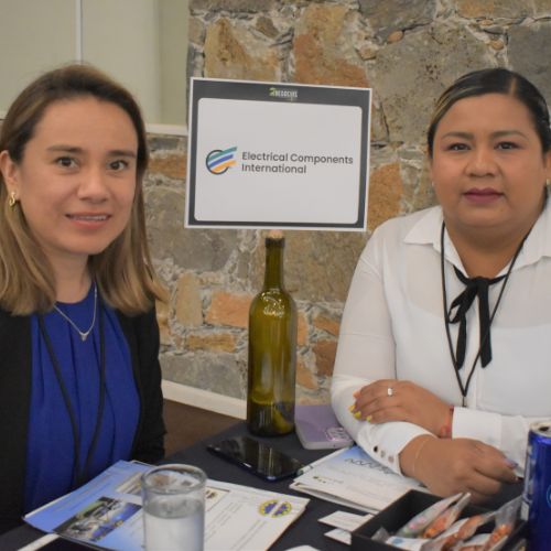 Compradoras de Electrocomponentes.