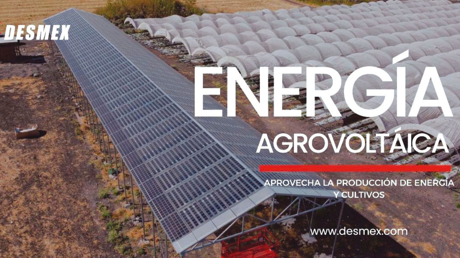 Desmex promueve su servicio de instalación Agrovoltaica