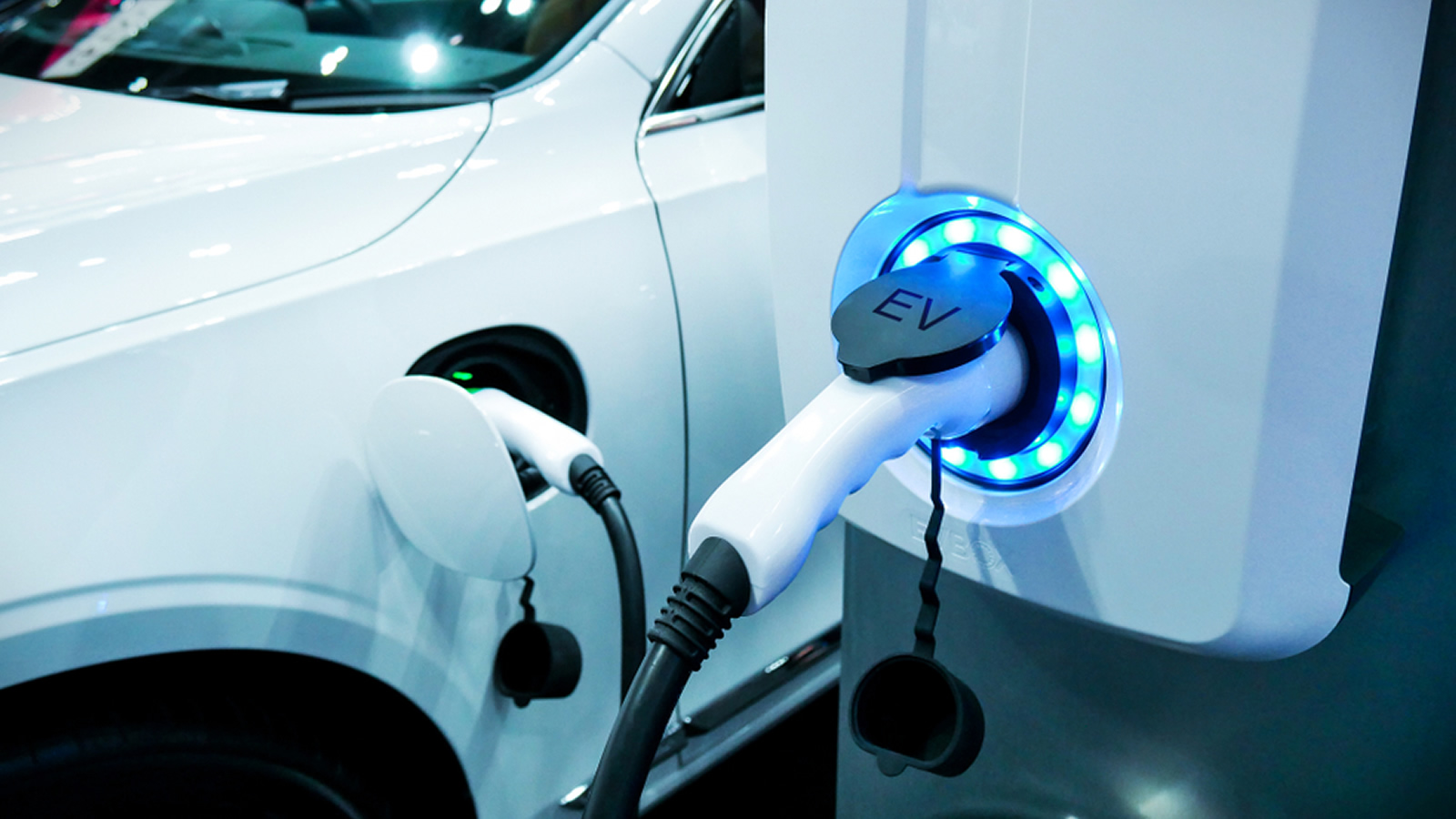 Se interesa armadora de autos eléctricos en Coahuila | Somos Industria